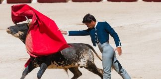 Madri assina protocolo para proteger touradas como patrimônio cultural