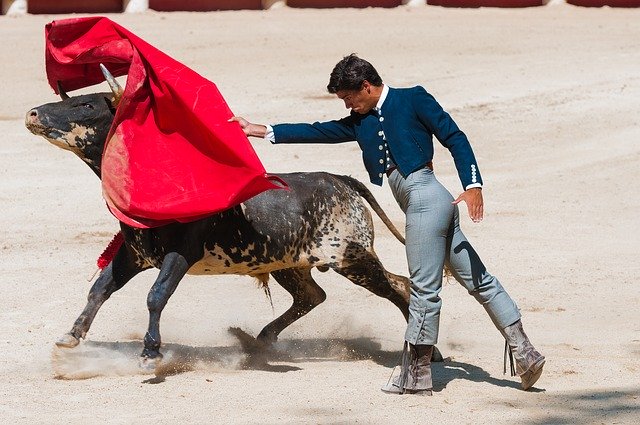 Madri assina protocolo para proteger touradas como patrimônio cultural