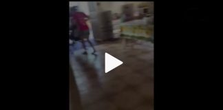 Cadela da raça pinscher viraliza ao tirar tapetes do caminho de sua tutora cadeirante; vídeo