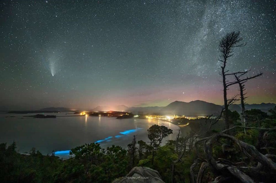Imagem fascinante captura cometa raro, aurora boreal, Via Láctea e bioluminescência