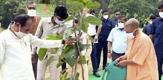 2 milhões de pessoas na Índia se reúnem para plantar 20 milhões de árvores