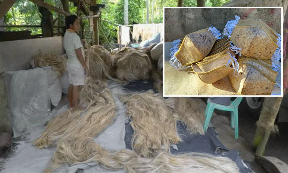 pensarcontemporaneo.com - Como essas máscaras de bananeira podem ajudar a reduzir os resíduos plásticos