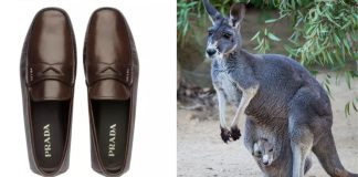 Prada, a gigante da moda italiana finalmente baniu o couro de canguru