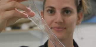 As algas podem ser a solução para a nossa crise do plástico: Empresa britânica  cria embalagens biodegradáveis e comestíveis a partir delas