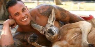 Bombeiros australianos posam com ​​animais para calendário de caridade em prol dos animais selvagens