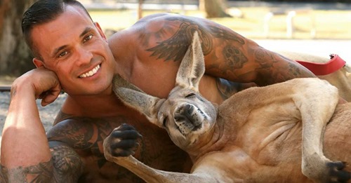 Bombeiros australianos posam com ​​animais para calendário de caridade em prol dos animais selvagens