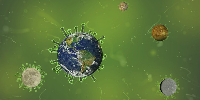 Para evitar uma ‘era de pandemias’, devemos proteger a natureza, alerta da ONU