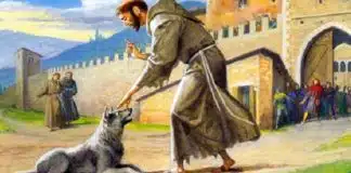 São Francisco, o ‘irmão’ dos animais que nos ensina empatia e simplicidade