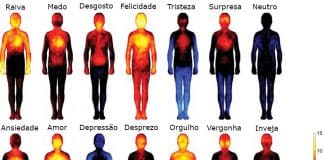 Mapeando as emoções no corpo: o amor nos aquece por completo