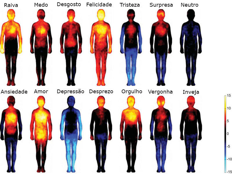 Mapeando as emoções no corpo: o amor nos aquece por completo