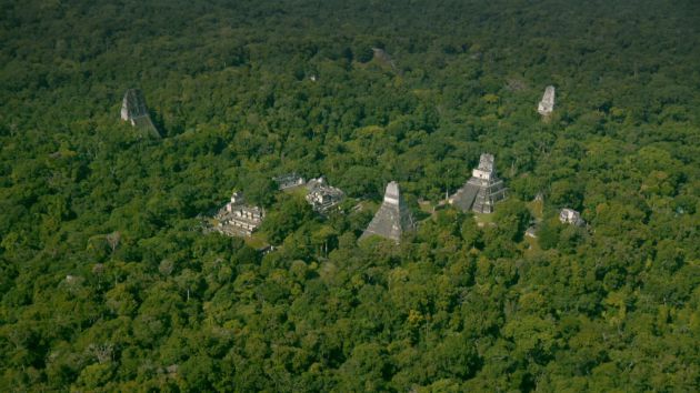 pensarcontemporaneo.com - Mega cidade maia achada sob selva impressiona: 60 mil casas, palácios e pirâmide