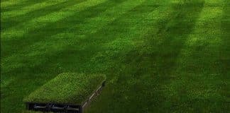 Organismos naturais no solo podem alimentar luzes com esta bio bateria