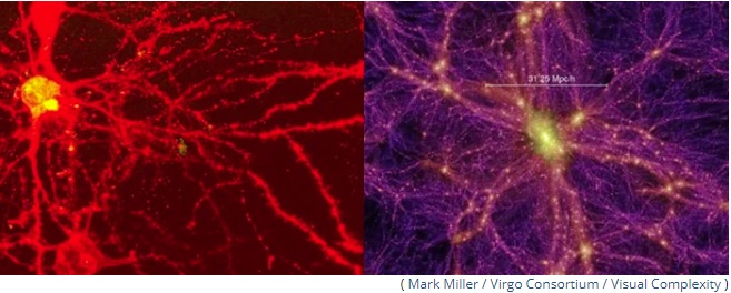 pensarcontemporaneo.com - Estudo mapeia as estranhas semelhanças estruturais entre o cérebro humano e o universo