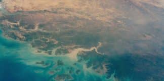 NASA usa supercomputadores e IA para contar as árvores da Terra a partir do espaço pela primeira vez