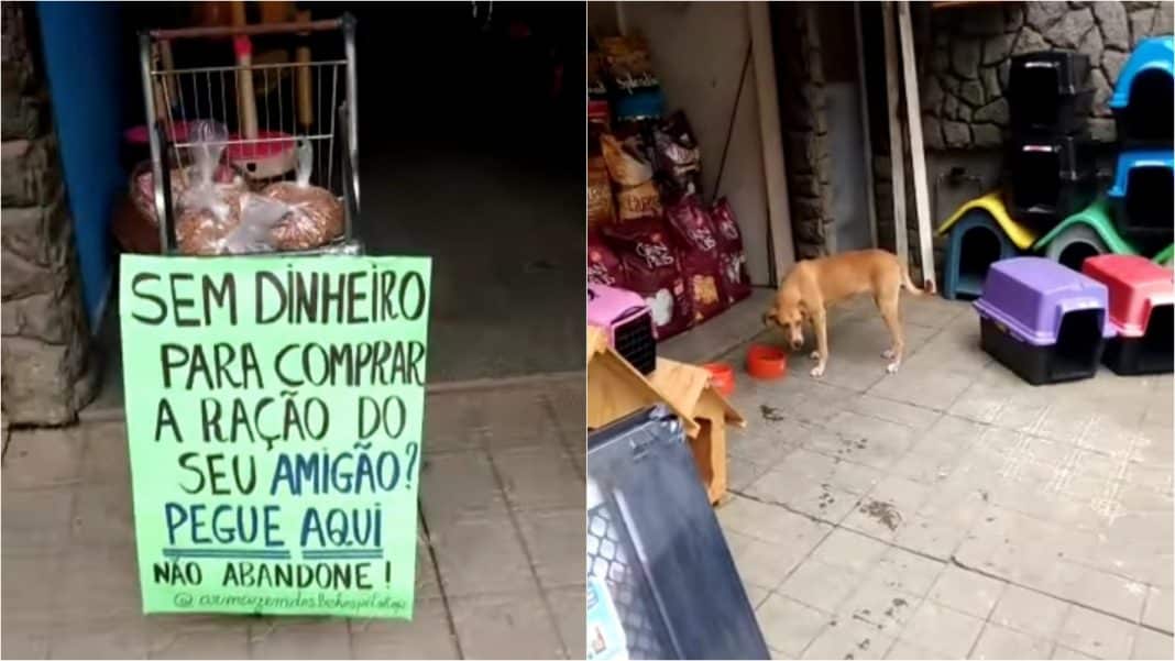 Pet shop doa ração para quem não pode pagar