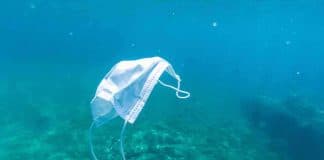 Mais de 1,5 bilhão de máscaras faciais poluirão os oceanos este ano, diz o relatório