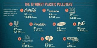 Coca-Cola, Pepsi e Nestlé: as empresas que mais produzem plástico do mundo