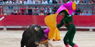 Vitória! Unesco se recusa a considerar as touradas um patrimônio cultural imaterial da humanidade