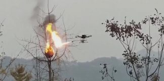 Aldeia chinesa invadida por legiões de vespas mortais usam drone lança-chamas para incinerar seus ninhos
