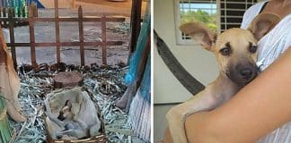 Mulher passando pelo presépio vê alguém dormindo na manjedoura – e não era o menino Jesus