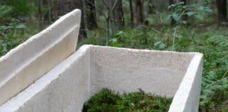 Empresa holandesa inventa caixão que transforma corpos em cogumelos: ‘Somos nutrientes, não resíduos’