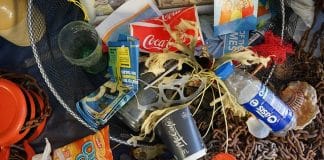 Europa proíbe exportação de lixo plástico para países mais pobres