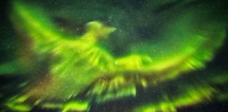 Aurora boreal forma uma fênix nos céus da Islândia