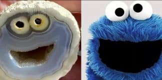 Homem abre uma ágata e descobre o ‘monstro do biscoito’ dentro