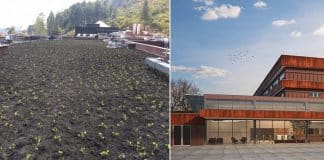 Hospital em Belo Horizonte possui quase 7 mil m² de telhado verde