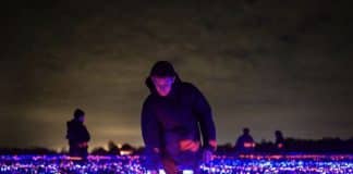 Artista holandês cria um show de luzes em um campo de alho-poró
