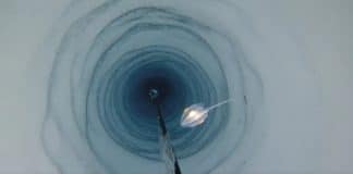 Formas de vida misteriosas foram encontradas na escuridão hostil sob a Antártica