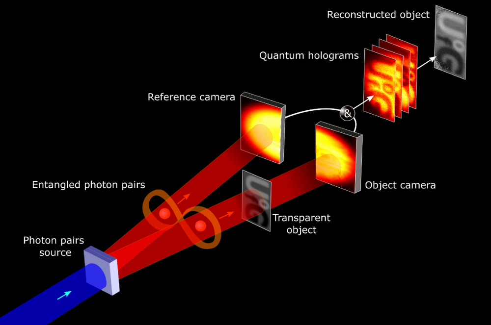 pensarcontemporaneo.com - Hologramas quânticos podem fazer imagens incrivelmente detalhadas de nossos corpos e células