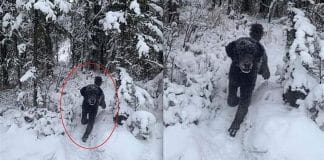 Um homem ou um cachorro? A ilusão de ótica que está dividindo a Internet