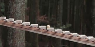 Xilofone gigante em uma floresta japonesa usa gravidade para tocar a música mais etérea de Bach