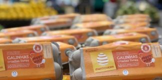 Supermercado carioca vai vender apenas ovos de galinhas livres de gaiolas