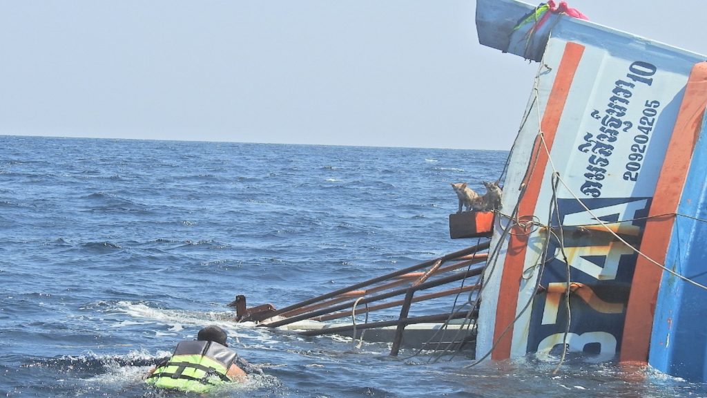 pensarcontemporaneo.com - Marinheiro da marinha tailandesa enfrenta mares agitados para resgatar quatro gatos do naufrágio de um navio em chamas