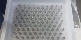 Polícia desmonta ‘rede de vacinas falsas’ na China e na África do Sul