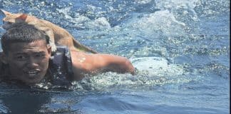 Marinheiro da marinha tailandesa enfrenta mares agitados para resgatar quatro gatos do naufrágio de um navio em chamas