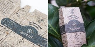 Embalagem plantável é desenvolvida com coroa de abacaxi