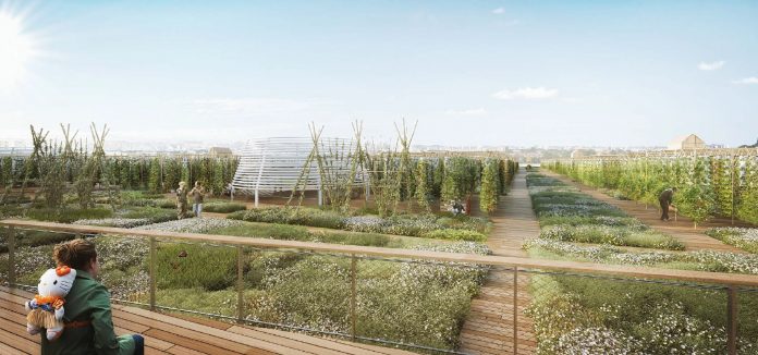 pensarcontemporaneo.com - Paris inaugura uma fazenda urbana de telhado de 14.000 m², a maior da mundo