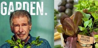 Irmão de Elon Musk inicia o ‘Movimento de Milhões de Jardins’ para plantar um jardim para cada família que vive em um deserto alimentar