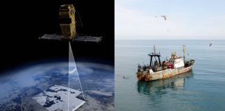 Canadá lança tecnologia de satélite que identifica ‘navios de pesca ilegal’ que capturam bilhões de peixes
