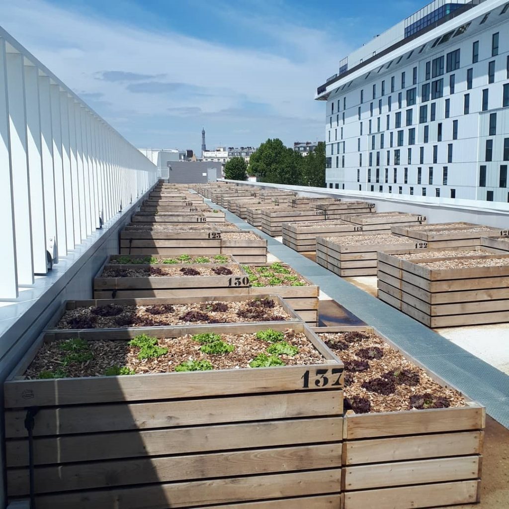 pensarcontemporaneo.com - Paris inaugura uma fazenda urbana de telhado de 14.000 m², a maior da mundo