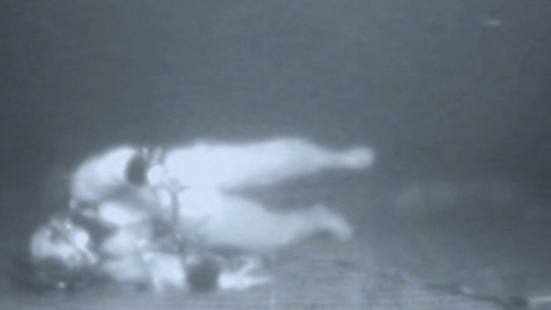pensarcontemporaneo.com - O mergulhador que passou 30 minutos sem ar no fundo do mar e sobreviveu