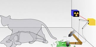 Paradoxo de Schrödinger, o gato na caixa está vivo ou morto? A resposta irá surpreendê-lo