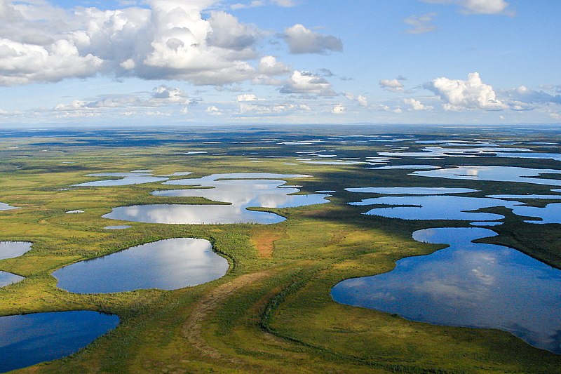 pensarcontemporaneo.com - Quanto custará para salvar a natureza - e quem vai pagar?