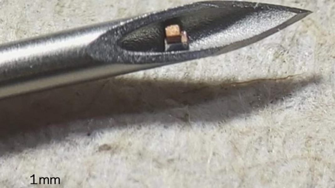Cientistas desenvolvem o menor chip do mundo que pode ser injetado no corpo com agulha