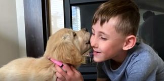 A bonita amizade entre um menino de 7 anos com uma perna amputada e uma cadelinha que nasceu sem uma pata