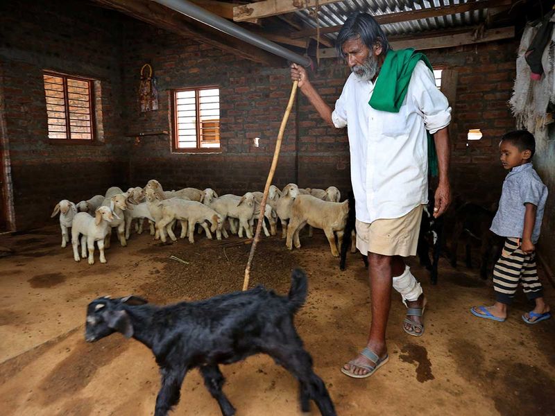 pensarcontemporaneo.com - Homem de 70 anos ajuda os animais construindo poços para que enfrentem as secas