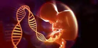 As manipulações genéticas perigosas ou acidentais que podem mudar o futuro da humanidade